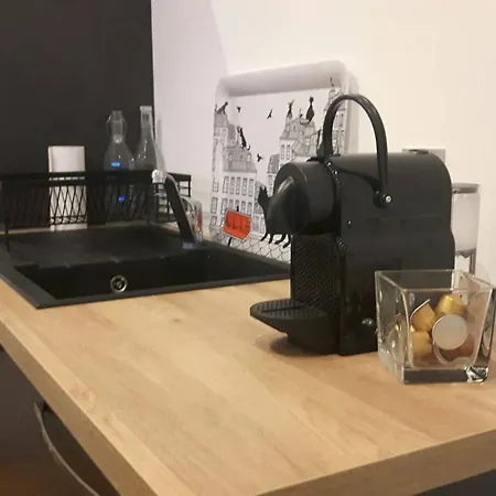 Renove Proche Gare Et Tram A 50 M. Apartmán Nancy